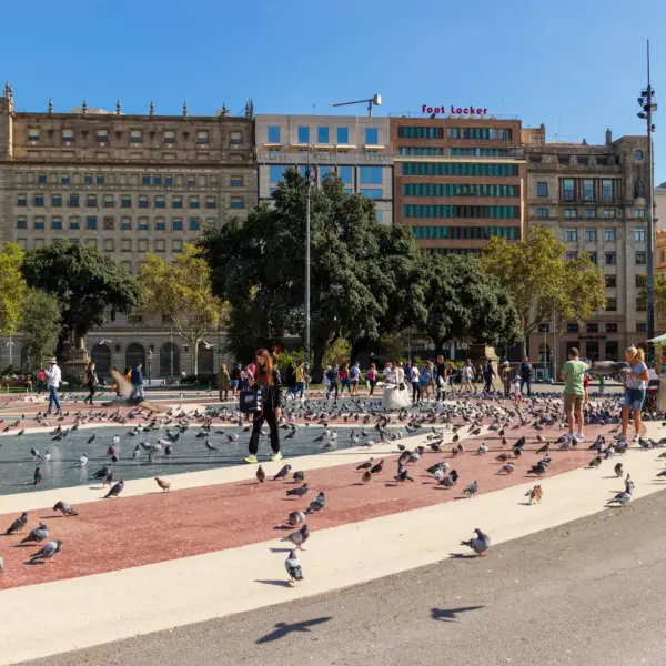 Pigeons and pedestrians gathered in a large public square in Spain
