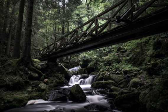 low angle photography of bridge over spring at woods